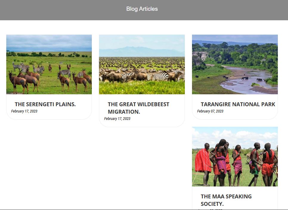 How Tour Companies Can Rank on Google